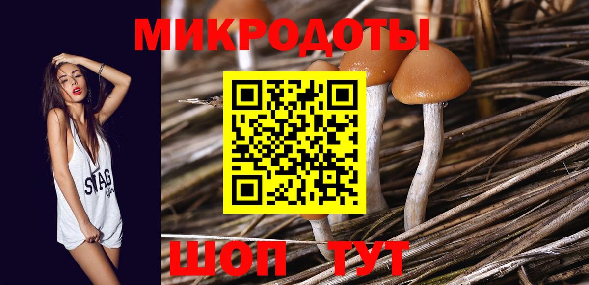 Галлюциногенные грибы GOLDEN TEACHER  Вход с VPN  Биробиджан 